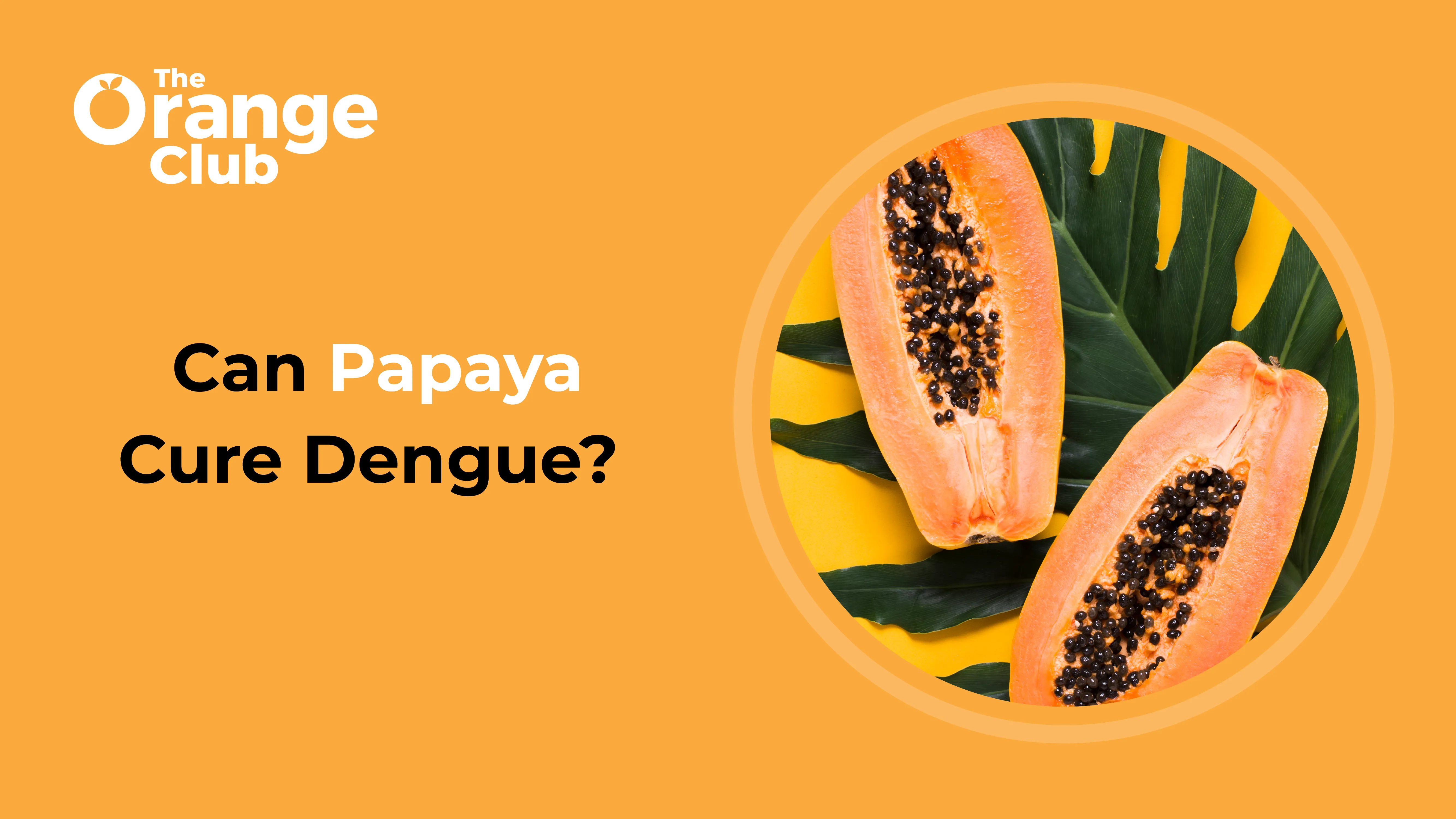 What Is the Role of Papaya Leaf Extract in Dengue Treatment?